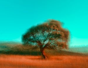 Nefesh_sadna_01